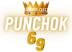 punchok69 logo